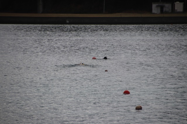スノーケリングインストラクター資格認定講習会