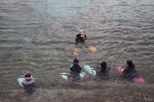 スノーケリングインストラクター資格認定講習会