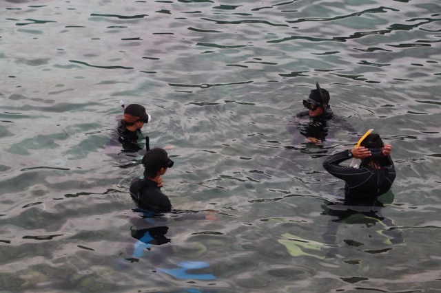 スノーケリングインストラクター資格認定講習会