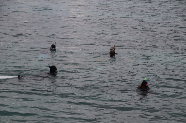 スノーケリングインストラクター資格認定講習会