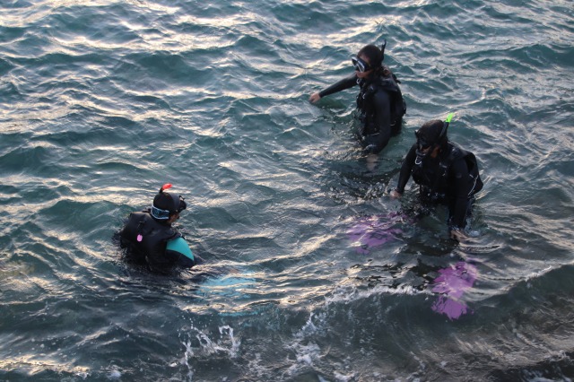 スノーケリングインストラクター資格認定講習会