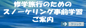 スノーケリング事前学習のご案内