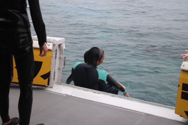 溺者救助(レスキュー)訓練講習会