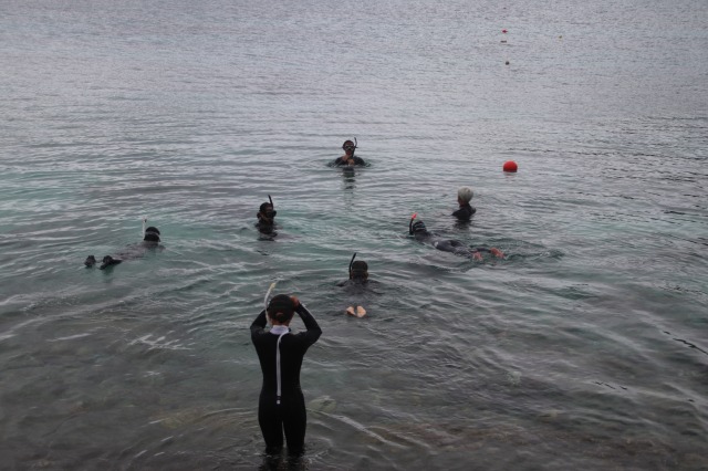 溺者救助(レスキュー)訓練講習会